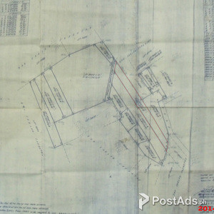 LAND agricultural commercial in San Carlos Pangasinan | PostAds PH