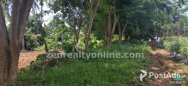 ALFONSO CAVITE FARMLAND FOR SALE