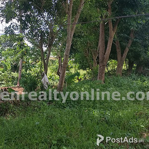 ALFONSO CAVITE FARMLAND FOR SALE | PostAds PH