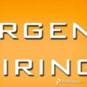 HR Assistant Immediate Hiring | PostAds PH