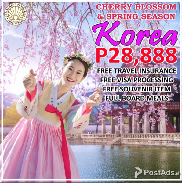 KOREA CHERRY BLOSSOM
