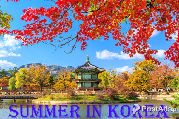 SUMMER IN KOREA