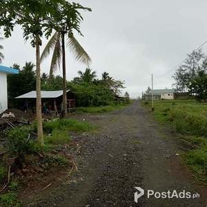 Lot For Sale near Beach For Sale - Dinahican, Infanta Quezon | PostAds PH