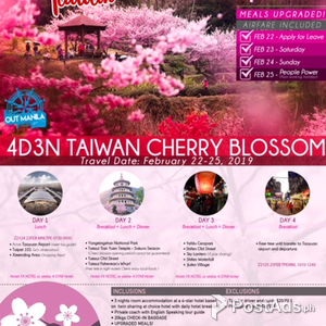 CHERRY BLOSSOM IN TAIWAN | PostAds PH