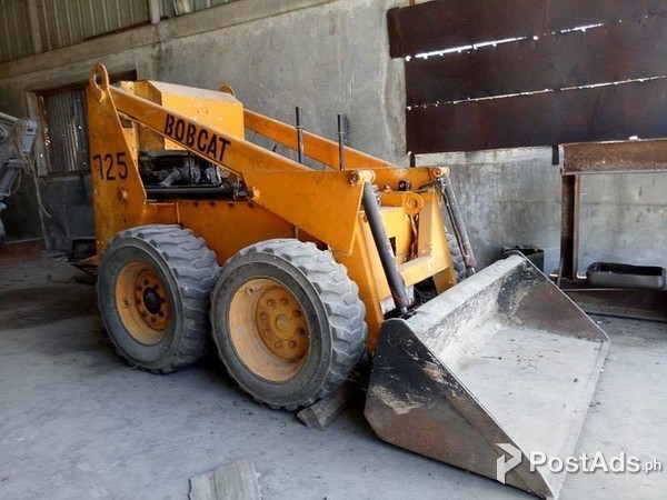 Bobcat Skin Steer Loader 6