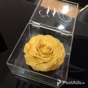 Acrylic Flower Box | PostAds PH