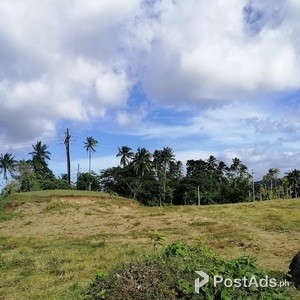 For Subdivision Lot for sale | PostAds PH