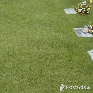 Low cost Garden lot Green Garden Memorial Park Iloilo | PostAds PH
