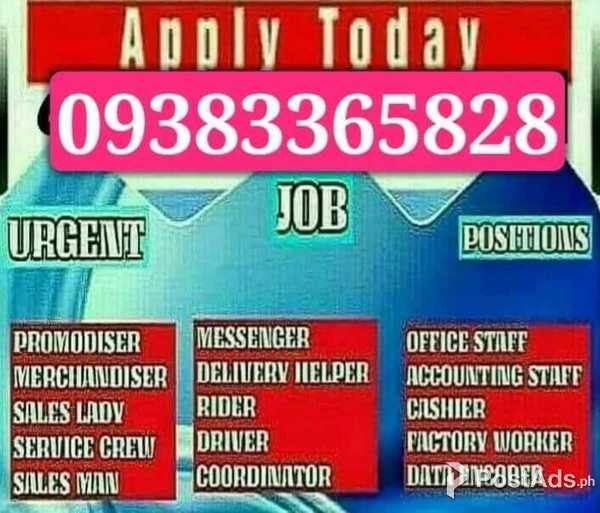Service Crew / Cashier / Counter Crew