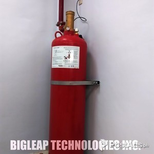 Bigleap FM200/Novec | PostAds PH