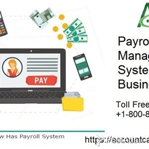 Assist 2019 Quickbooks Enhanced Payroll Software | PostAds PH