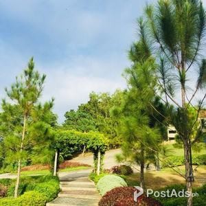 MIKA MODEL CAMELLA RIVERFRONT in Talamban Cebu | PostAds PH