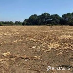 Subdivided lot for sale | PostAds PH