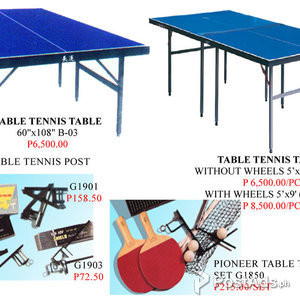 Table tennis Tabble tennis post Pioneer table tennis | PostAds PH