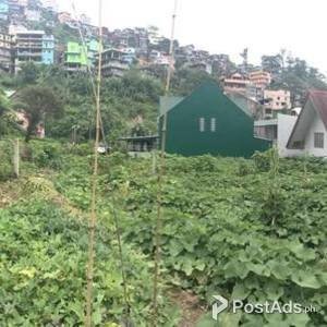 Flat Terrain Lot in Baguio | PostAds PH