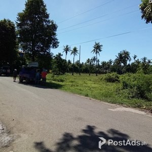 SUBDIVISION LOT in ERIZO DE MAR Tuyom Carcar Cebu | PostAds PH
