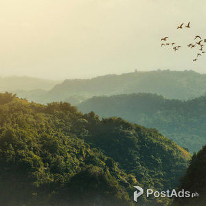 Foressa Mountain Town- Balamban Cebu | PostAds PH