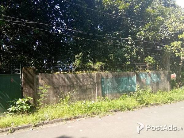 1000 SQM LOT FOR SALE IN CAMARIN RD. CALOOCAN CITY