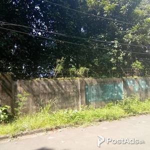 1000 SQM LOT FOR SALE IN CAMARIN RD. CALOOCAN CITY | PostAds PH