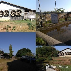 farm lot for sale | PostAds PH