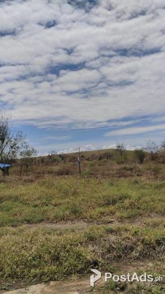 10 hectares Farm, commercial, industrial ,residential LAND FOR SALE