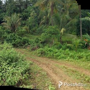 lot for sale in carmen cebu | PostAds PH