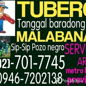 MALABANAN TUBERO SERVICES BAGBAG NOVALICHES AREA 701-7745 09467202138 | PostAds PH