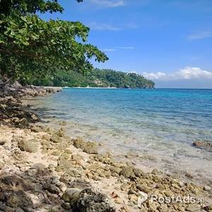 4304 sq.m. beach line lot | PostAds PH