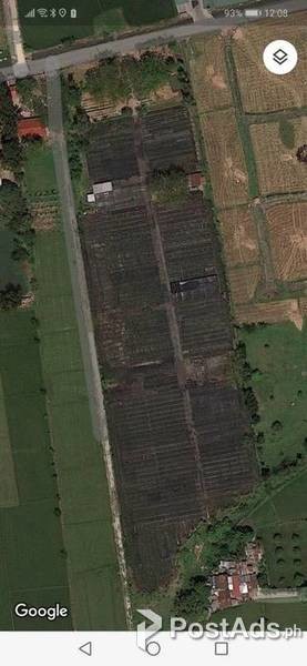 Baliuag Bulacan Lot for sale 2 hectares OK for Terms