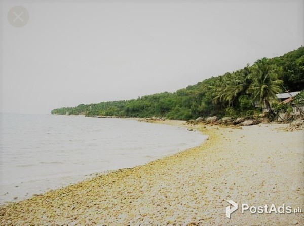BEACH RESORT IN CATMON, CEBU FOR SALE!!!