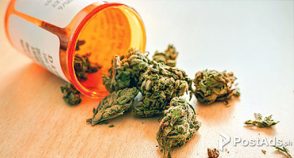 Good quality Medications Top Buds harsh, shatter, Concentrate. 