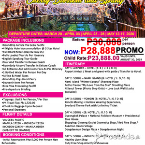 KOREA CHERRY BLOSSOM | PostAds PH