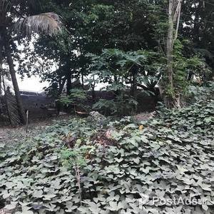 4697 sq.m. beach line lot | PostAds PH
