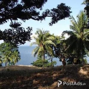 3767 sq.m. beach line lot | PostAds PH