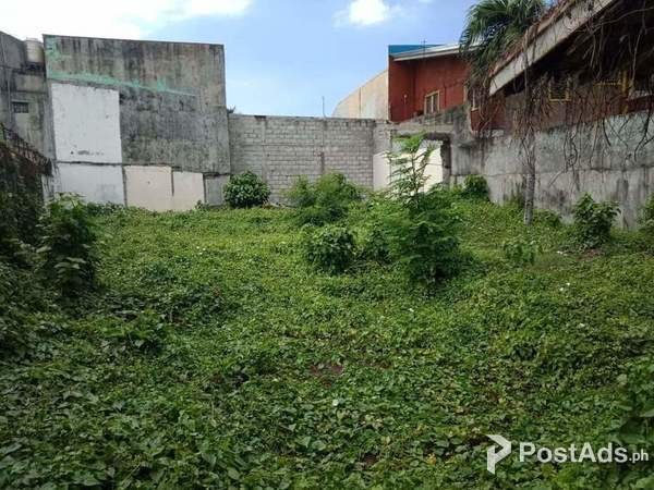 Commercial Land