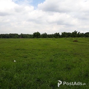 Large Parcel of Land 5,050 square meters | PostAds PH
