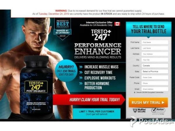 Now Tips To Start Building A Testo 247 Canada You Always Wanted