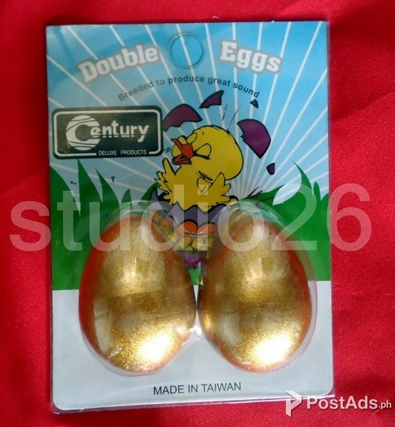 egg shaker percussionist