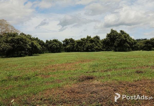 Residential Lots For Sale in Libertad, Guanacaste, Costa Rica