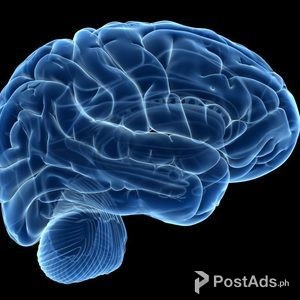 SF180 Brain : *Must* Read Review Before Order | PostAds PH