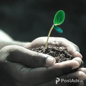 Mothers Day Quotes | PostAds PH