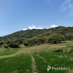 Lot Farm for Sale | PostAds PH