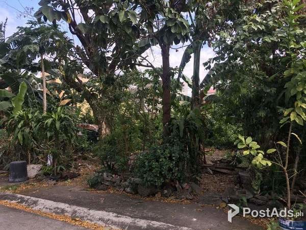 Project 8, Visayas Avenue, Bahay Toro, Quezon City Lot for Sale