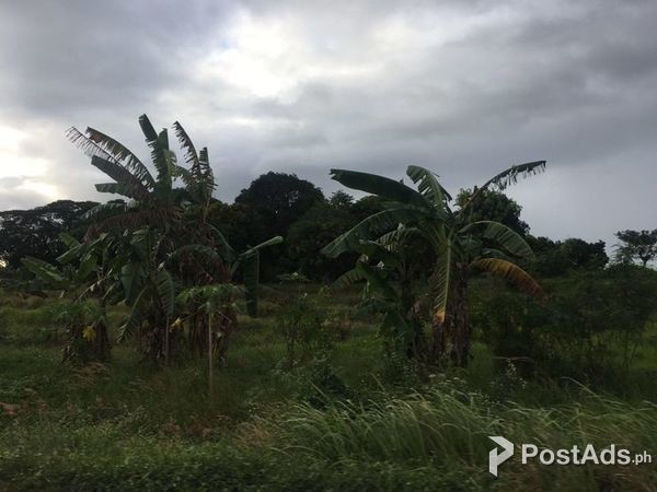 Regalado Avenue, Fairview, Quezon City Lot for Sale