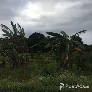 Regalado Avenue, Fairview, Quezon City Lot for Sale | PostAds PH