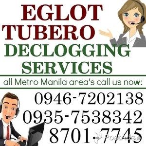QUEZON CITY EGLOT TUBERO SERVICES CALL US NOW:8701-7745 09467202138 | PostAds PH