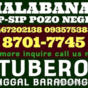 MAKATI CITY EGLOT TUBERO SERVICES CALL NOW:8701-7745 09467202138 | PostAds PH