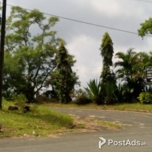 15 Ha PRIME Lot for SALE in Calleruega Nasugbu Batangas | PostAds PH