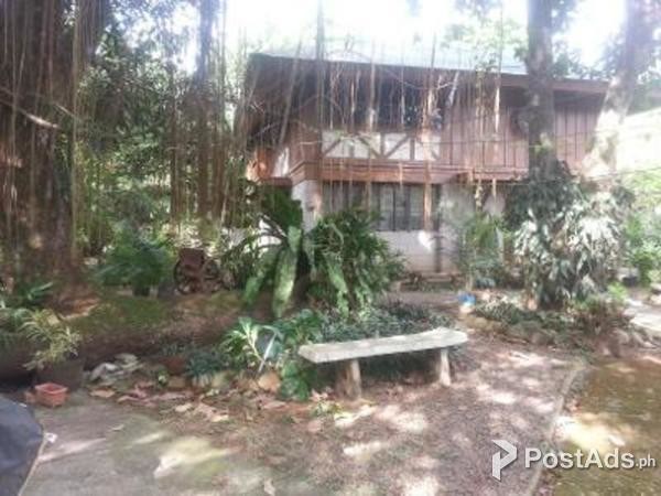 4.58 hec. Farmland in Sta Maria Bulacan for Sale