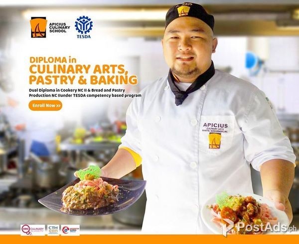 APICIUS CULINARY ARTS - 50% Discount Diploma Program